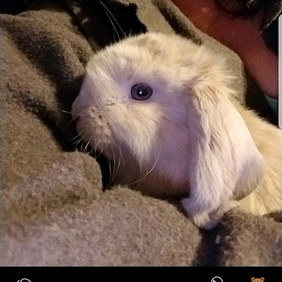 Meet your Posher, Lynne - Picture 1 of 1